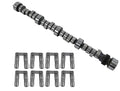 SBC Hyd Roller Cam and Lifter Kit