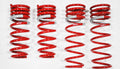 Tanabe NF210 Springs 2014 Mazda 6