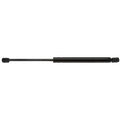 TAILGATE LIFT SUPPORT