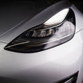 DIY PAINT PROTECTION FILM KIT