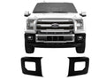 PAINTABLE BUMPER OVERLAY WITH FOG L