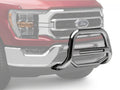 2004-2019 FORD F150 BULL BAR-MAX BE