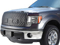 0105 PONTIAC MONTANA WINTER FRONT/BUG SCREEN
