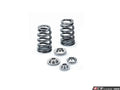 Supertech 02-07 Mini Cooper 1.6L Dual Valve Spring Kit