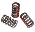 Brian Crower Honda/Acura B18C/B16A/B17A & Nissan KA24DE Dual Valve Springs