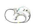 Rywire Honda F/H-Series Mil-Spec Engine Harness w/Chassis Specific Adapter