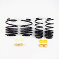 RS-R 2017-2022 Honda Civic Type R (FK8) Super Down Sus Springs