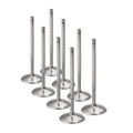 Supertech Honda/Acura K20/K24 Titanium Intake Valve - +1.5mm Oversize - Set of 8