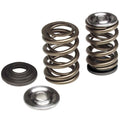 Brian Crower Honda Acura B18C/B16A/B17A Dual Spring / Steel Alloy Retainer Kit