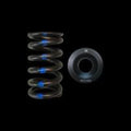 Brian Crower Honda L15B Single Spring/Titanium Retainer/Keeper Kit