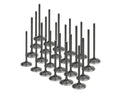 Supertech Audi BHF/BHK 4.2L V8 40V Black Nitrided Intake Valve - +1mm Oversize - Single (D/S Only)