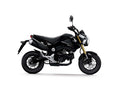 Gold Valve Fork Modification Kit