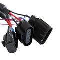 Fuel Pump Wiring Harness