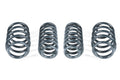 VWR Sport Springs