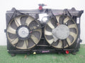 Radiator Assembly