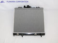 Radiator Assembly