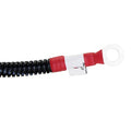 Fuel Pump Wiring Harness
