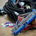 Vortec Standalone Wiring Harness