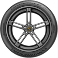ExtremeContact DWS06 Plus 275/40R20 111Y Tire
