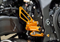 Race Concept Rear Sets, Black/Gold