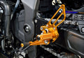 Race Concept Rear Sets, Black/Gold