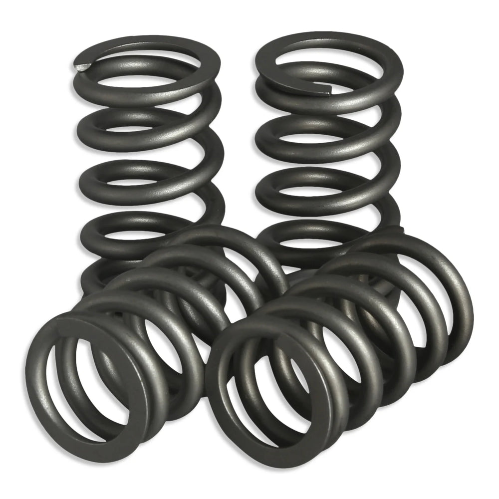110LB Valve Spring Kit