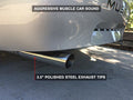 4.6L V8 Cat-Back Exhaust System