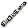 220R Camshaft