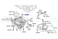 Oil Pan Gasket O-Ring