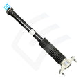 Rear Strut Absorber