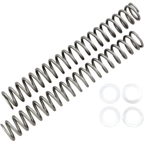 Replacement Fork Spring Pair