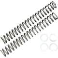 Replacement Fork Spring Pair