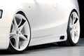 Side Skirts
