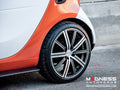 Carbon Fiber Side Skirts