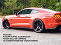 Lowering Springs