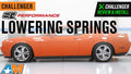 Lowering Springs