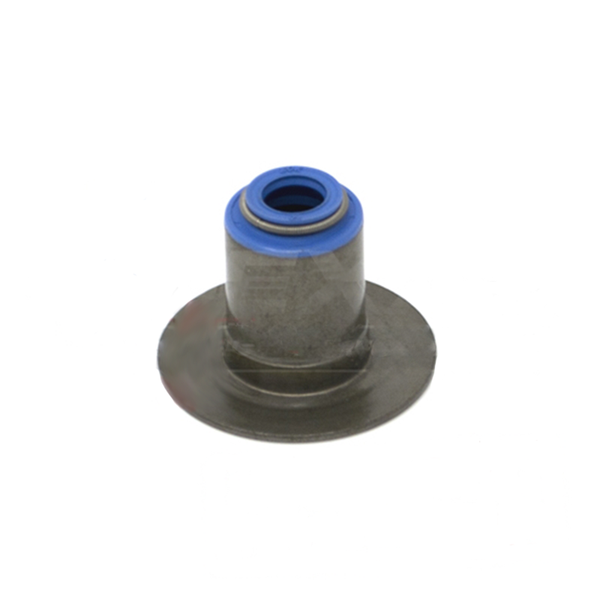 Valve Seals