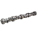 B.F.D. Chop Monster Hydraulic Roller Camshaft