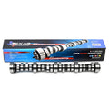 228/232 Duration .550"/.550" Lift Camshaft