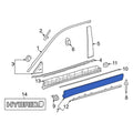 Body Side Moldings