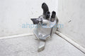 Transmission Fluid Cooler