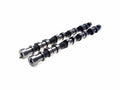 Brian Crower Dodge SRT-4 Camshafts - Stage 4