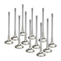 Supertech Toyota Supra 2JZ Black Nitrided Intake Valve - +1mm Oversize - Set of 12