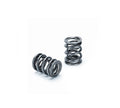 Dual Valve Spring Kit w/Titanium Retainers