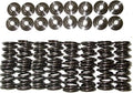 Brian Crower Honda/Acura B18A/B18B/B20B Dual Spring & Titanium Retainer Kit