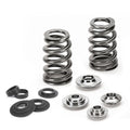 Supertech Subaru WRX/STi 16V Single Beehive Valve Spring Kit