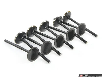 Supertech VW 2.5L 5Cyl Black Nitrided Intake Valve - Set of 10