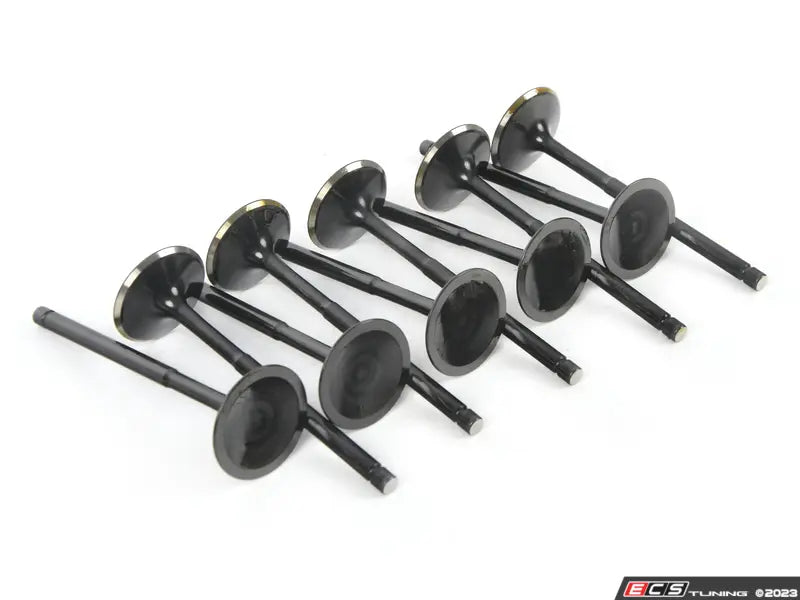 Supertech VW 2.5L 5Cyl Black Nitrided Intake Valve - Set of 10