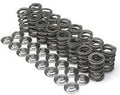 Brian Crower Nissan KA24DE - High Mileage Dual Spring and Steel Alloy Retainer/Seat