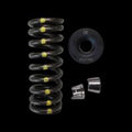 Brian Crower Nissan KA24DE - High Mileage Dual Spring and Steel Alloy Retainer/Seat